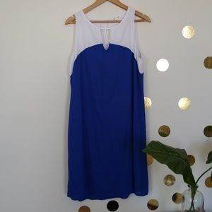 🔴cute dress for any occasion